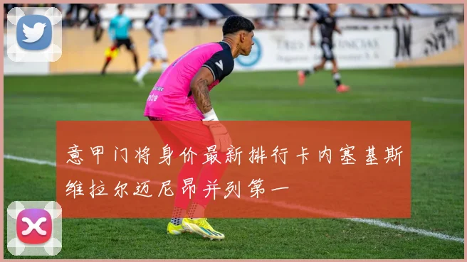 意甲门将身价最新排行卡内塞基斯维拉尔迈尼昂并列第一