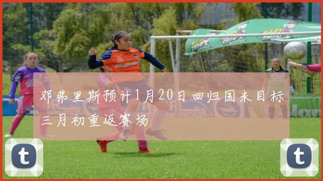 邓弗里斯预计1月20日回归国米目标三月初重返赛场