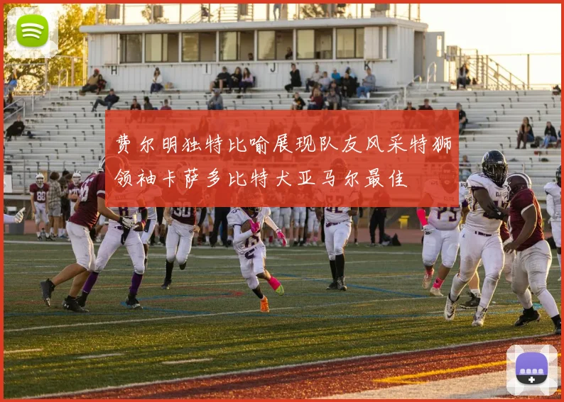 费尔明独特比喻展现队友风采特狮领袖卡萨多比特犬亚马尔最佳