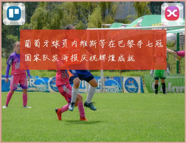 葡萄牙球员内维斯等在巴黎夺七冠国家队发海报庆祝辉煌成就